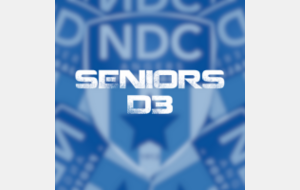 Seniors 4 - Départemental 3