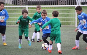 Live samedi (08/12) : les U12 (1) et les U14F s'imposent