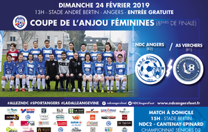 23-24 février : choc en coupe de l'Anjou féminine à Bertin dimanche