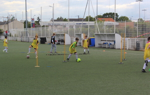 Les terrains reprennent vie sur le complexe Bertin