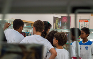 Académie - Visite de la bibliothèque Nelson Mandela ! 