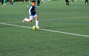 6534015fc417c_DSC4450.jpg
