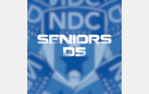 Seniors 5 - Départemental 5