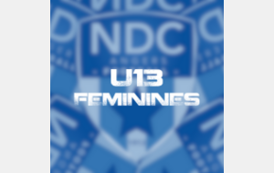 Foot Indoor Féminin (U13F)