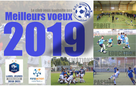 Meilleurs voeux 2019 à toutes et à tous !