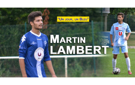 Un Jour, un Bleu - Martin Lambert
