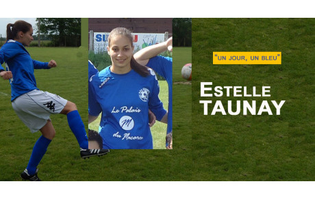 Un Jour, Un Bleu - Estelle Taunay