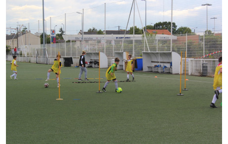 Les terrains reprennent vie sur le complexe Bertin