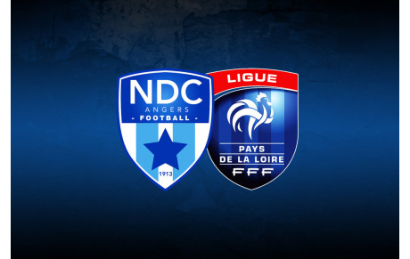Les groupes des championnats régionaux dévoilés !