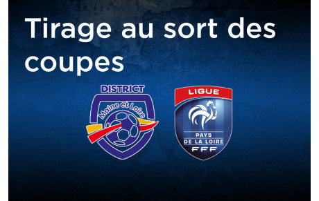 Quatre équipes encore en coupe ! (MAJ : 01/06)