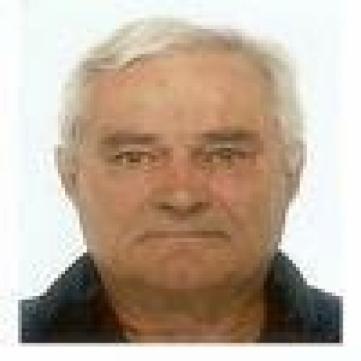Louis Marie Turc